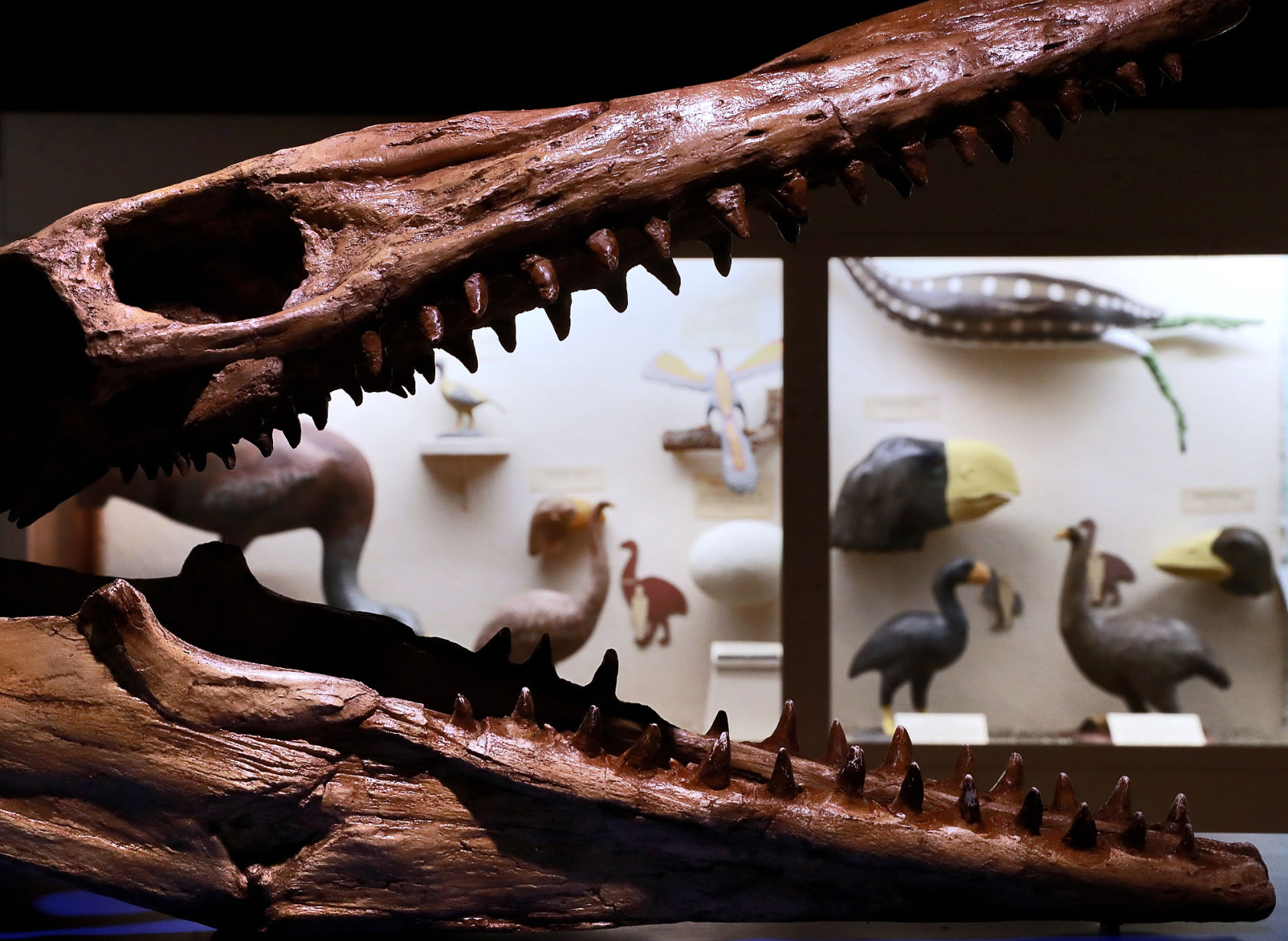 071520_HastingMuseumOpens20_006_bjs.JPG